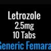 Letrozole “Letro” 2.5mg x 10 Tabs - Naps Gears