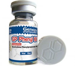 Phenyl100mg/10ml 1vial - Naps Gears