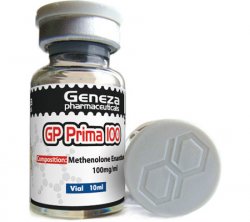 prima100/10ml 1vial - Naps Gears
