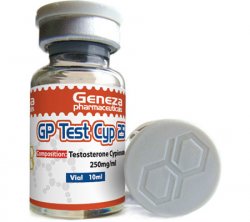 Test Cyp250mg/10 ml 1vial - Naps Gears