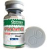 Test Enanth250 mg/10 ml - Naps Gears