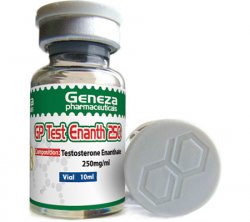 Test Enanth250 mg/10 ml - Naps Gears