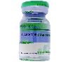 Testosterone Propionate 100 - Naps Gears