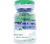 Testosterone_Enanthate 300 - Naps Gears